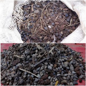 Jual Pupuk Kohe Kambing Magelang