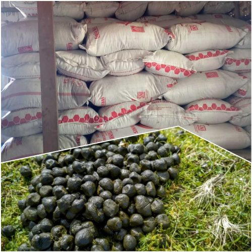 Jual Pupuk Kohe Kambing Penawangan