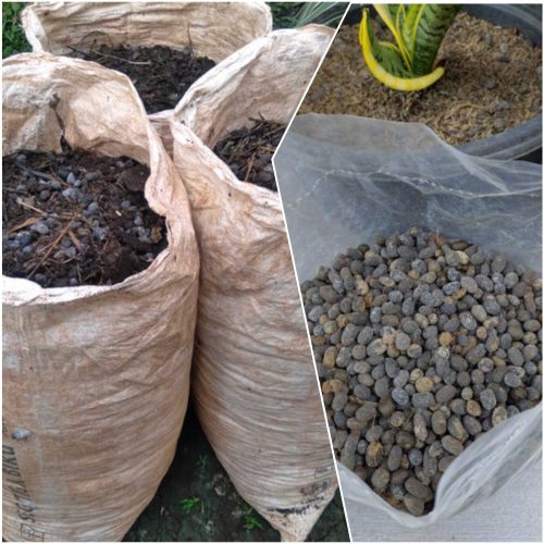 Jual Pupuk Kohe Kambing Purwodadi Grobogan