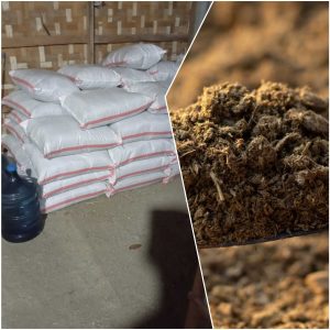 Jual Pupuk Kohe Kambing Purworejo