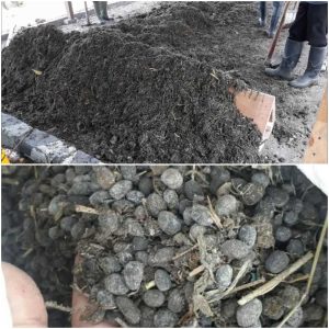 Jual Pupuk Kohe Kambing Semarang