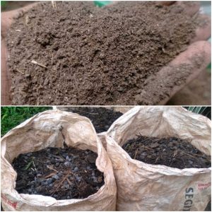 Jual Pupuk Kohe Kambing Temanggung