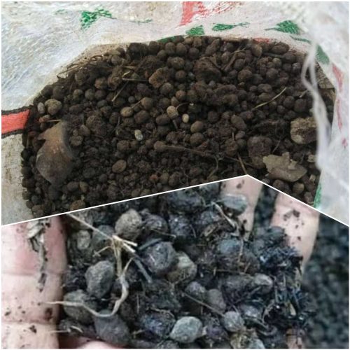 Jual Pupuk Kohe Kambing Toroh