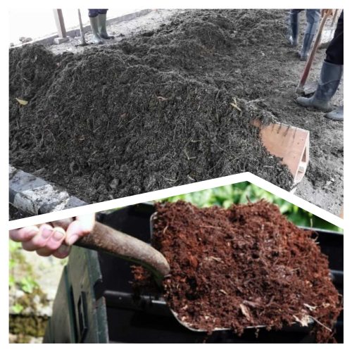 Kompos dari Kotoran Kambing