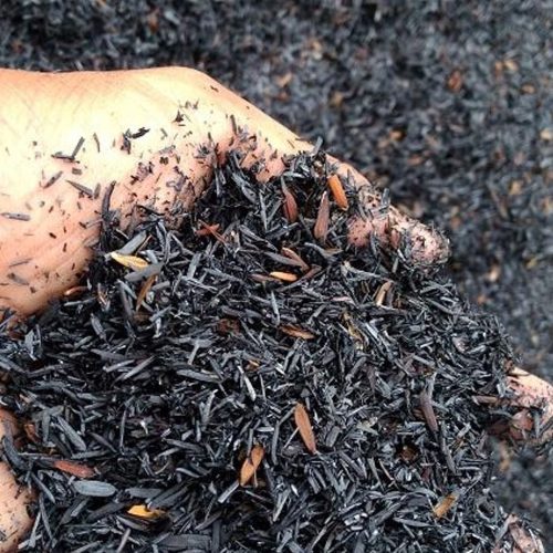 Cara Membuat Sekam Bakar Fermentasi