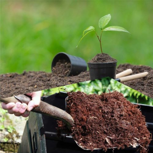 Jual Sekam Bakar Klambu