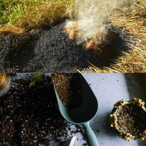 Jual Sekam Bakar Magelang