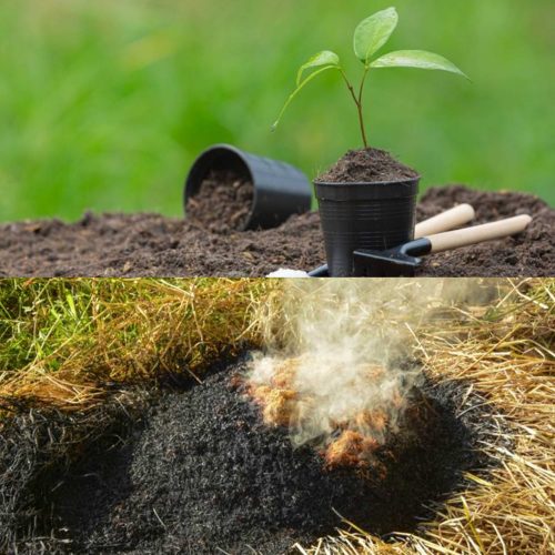 Jual Sekam Bakar Penawangan