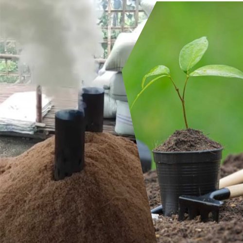 Jual Sekam Bakar Purwodadi