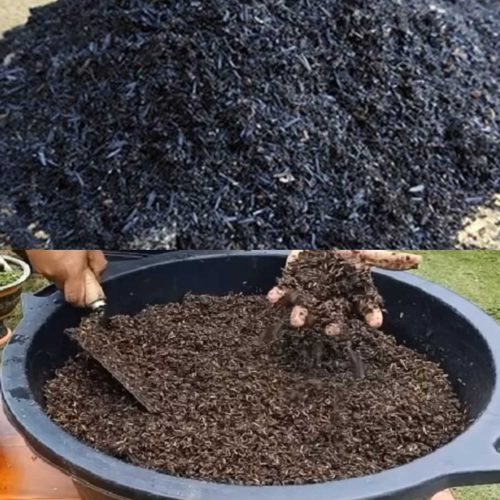 Jual Sekam Bakar Tawangharjo