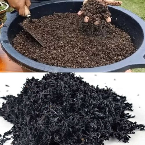 Jual Sekam Bakar Tegowanu