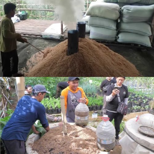 Peluang Bisnis Sekam Padi