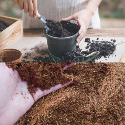 Jual Sekam Bakar Purbalingga
